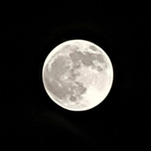 Meet your Posher, Chandra - Picture 1 of 1